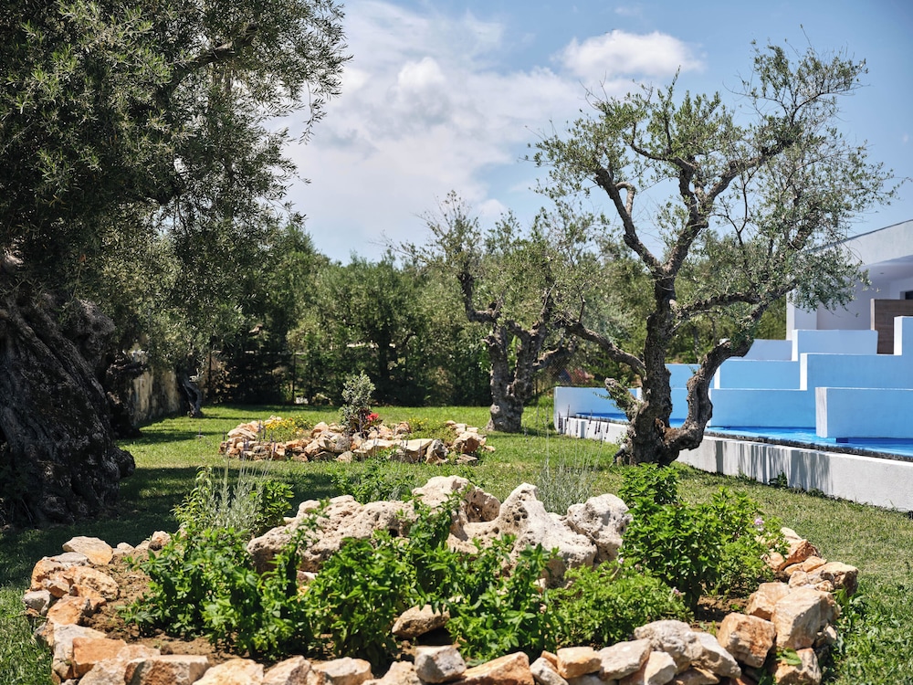 Cavo Orient Beach Hotel — Attractions in the area in Tsilivi, Ionian Islands