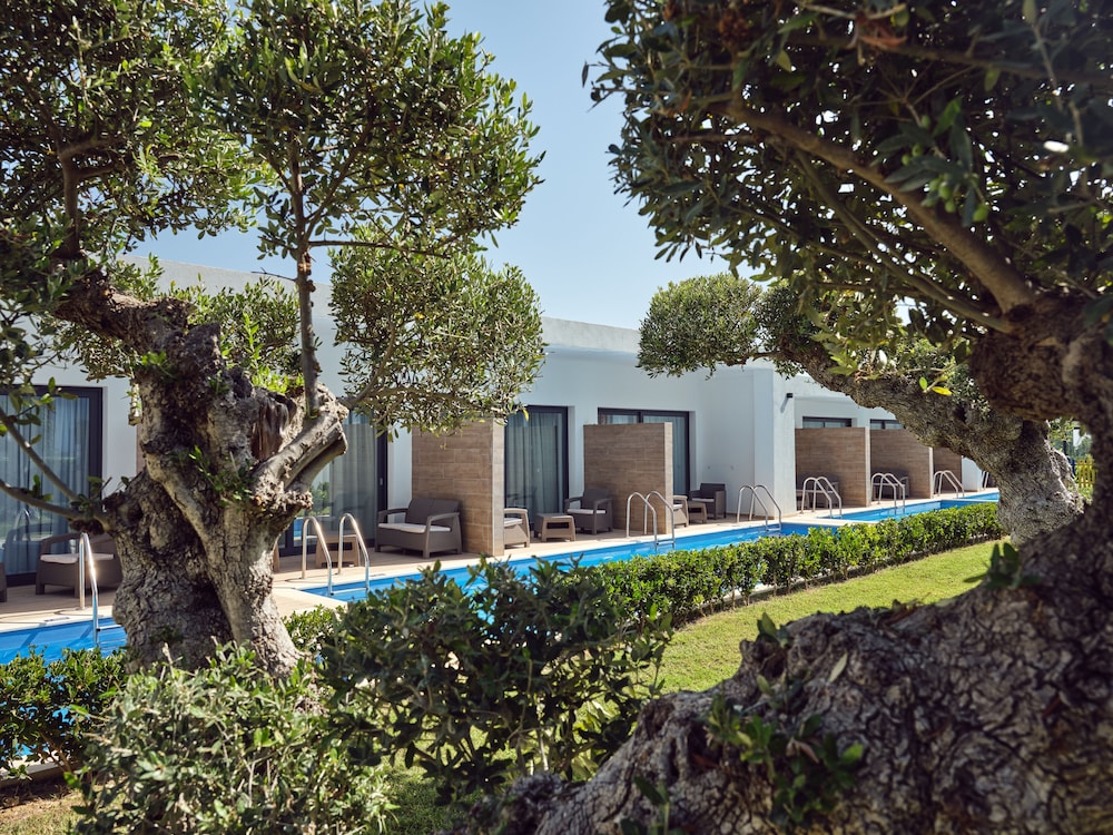 Cavo Orient Beach Hotel — Swimming pool in Tsilivi, Ionian Islands