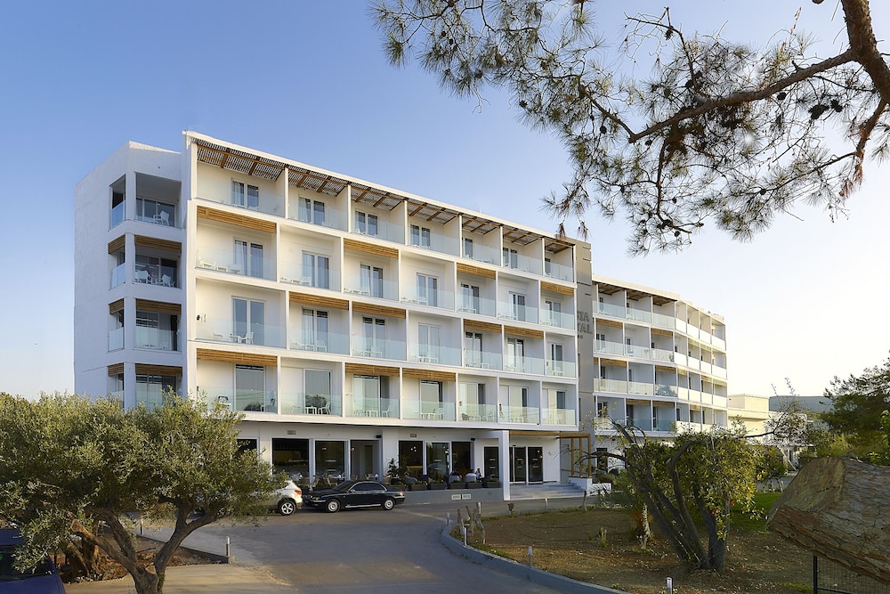 Vasia Royal Hotel - zdjęcie 5