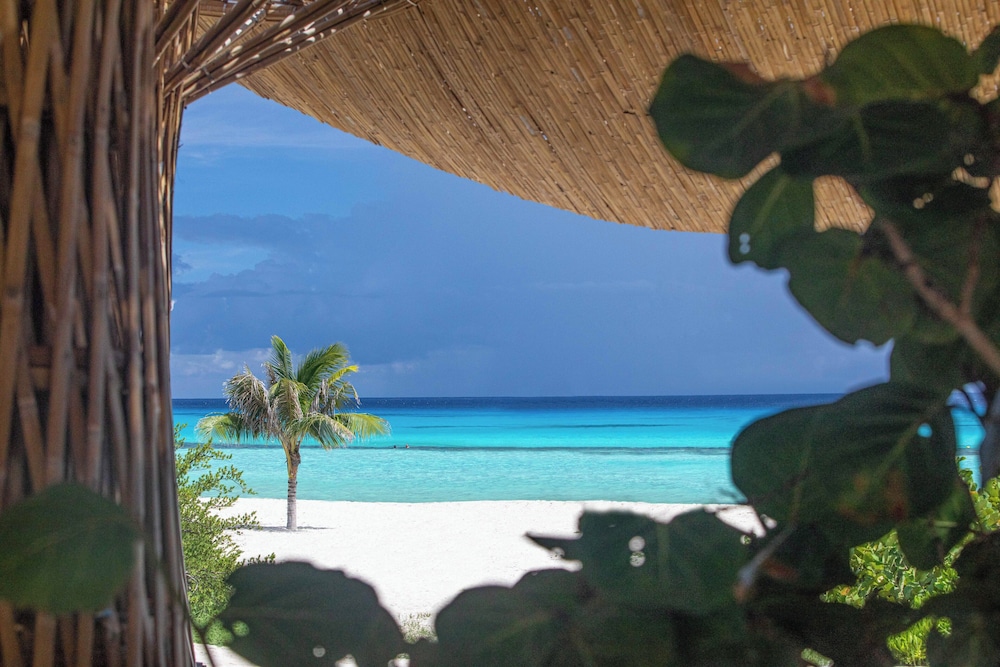 Palmaïa-The House of AïA: All Inclusive Wellness Resort — Beach in Playa del Carmen, Quintana Roo