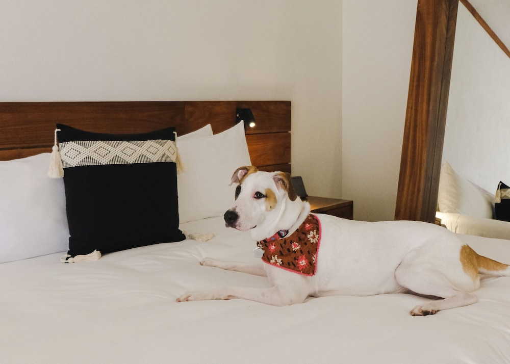 Aluna Resort Tulum — Hotel rooms in Tulum, Quintana Roo