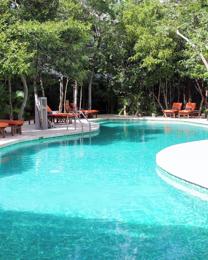 Aluna Resort Tulum — Swimming pool in Tulum, Quintana Roo