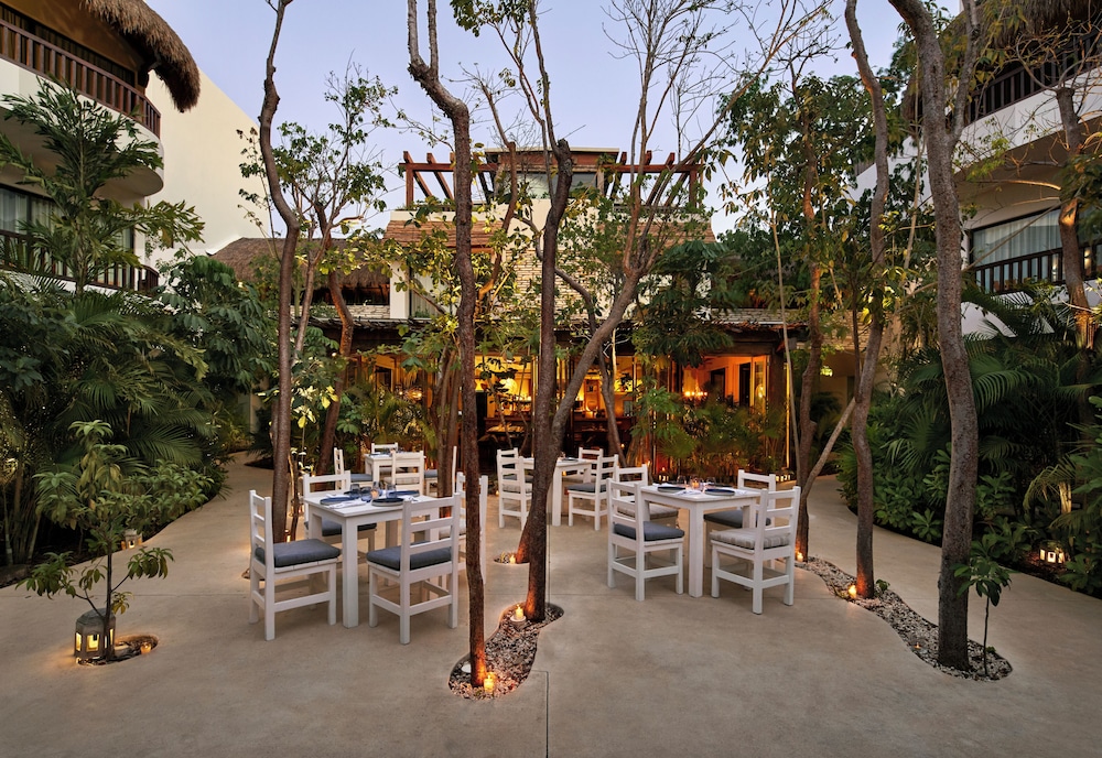 Aluna Resort Tulum — Restaurant & bars in Tulum, Quintana Roo