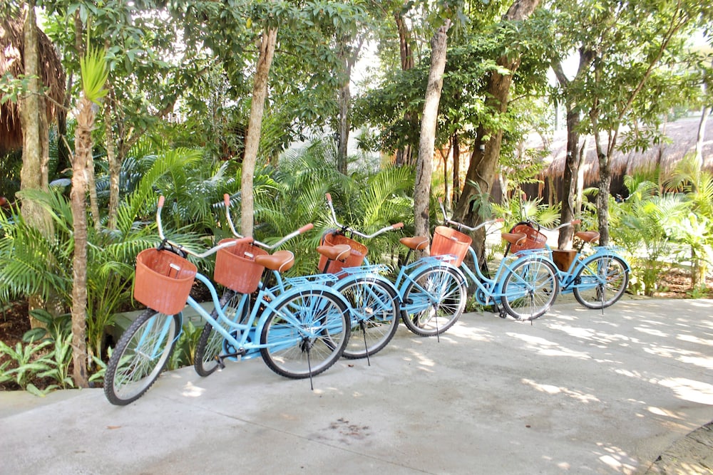 Aluna Resort Tulum — Sports & recreation in Tulum, Quintana Roo
