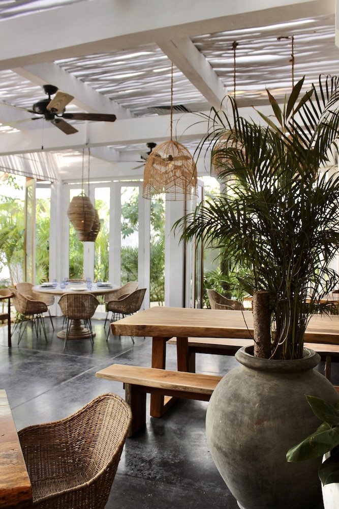 Aluna Resort Tulum — Restaurant & bars in Tulum, Quintana Roo