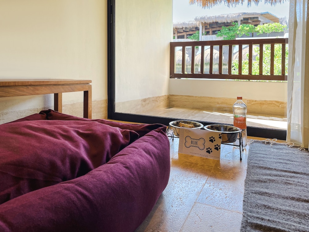 Aluna Resort Tulum — Hotel rooms in Tulum, Quintana Roo