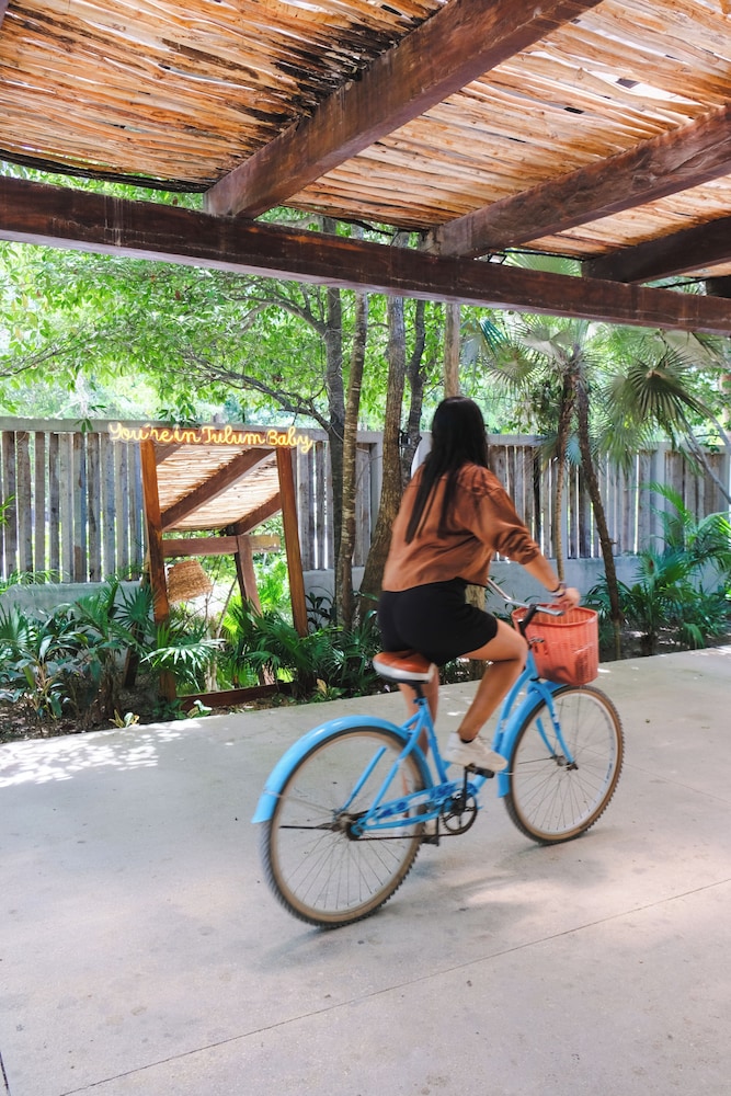 Aluna Resort Tulum — Attractions in the area in Tulum, Quintana Roo