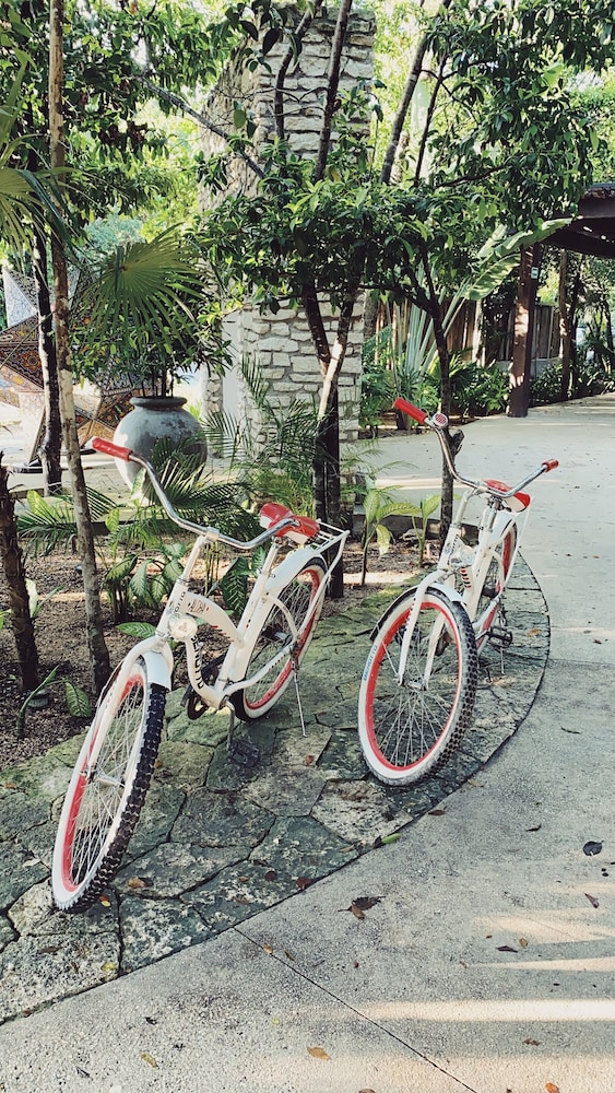 Aluna Resort Tulum — Attractions in the area in Tulum, Quintana Roo