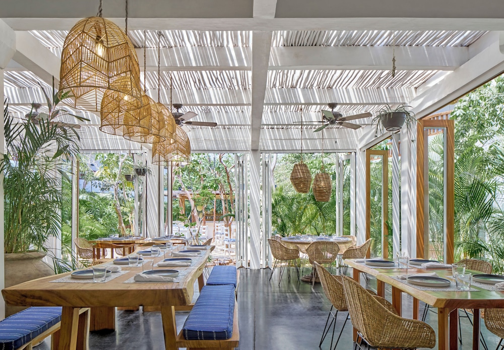 Aluna Resort Tulum — Restaurant & bars in Tulum, Quintana Roo