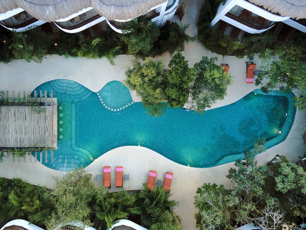Aluna Resort Tulum — Swimming pool in Tulum, Quintana Roo