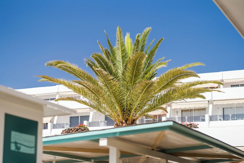 Hovima Panorama — Hotel building in Costa Adeje, Canary Islands