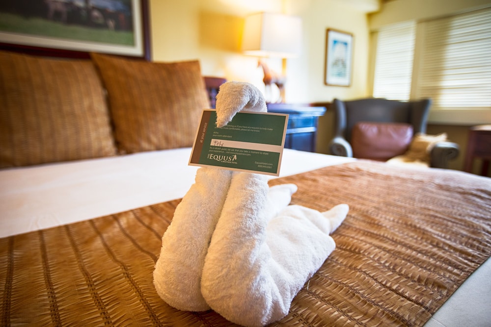 The Equus — Hotel rooms in Honolulu, Hawaii