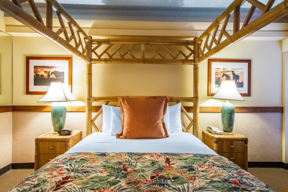 The Equus — Hotel rooms in Honolulu, Hawaii