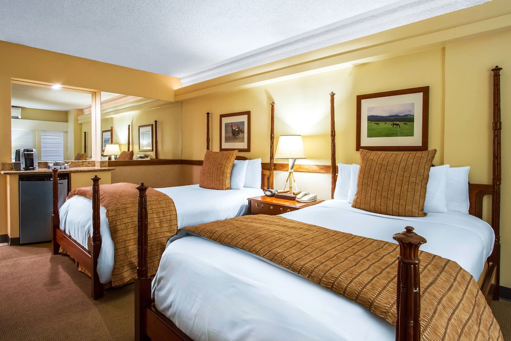 The Equus — Hotel rooms in Honolulu, Hawaii