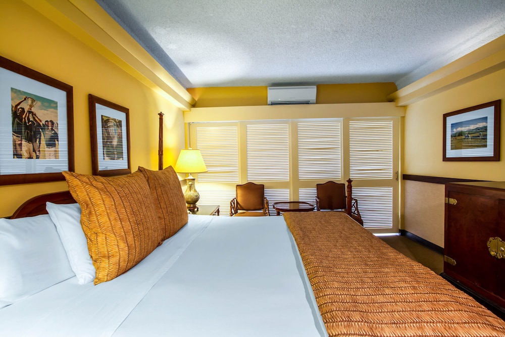 The Equus — Hotel rooms in Honolulu, Hawaii