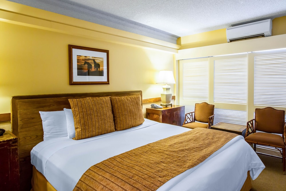 The Equus — Hotel rooms in Honolulu, Hawaii