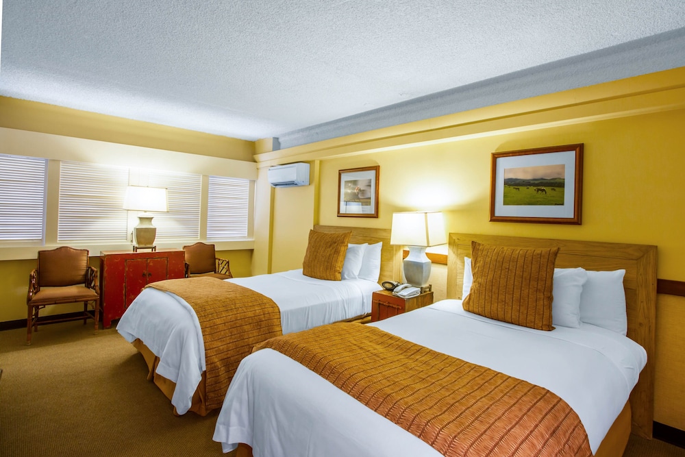 The Equus — Hotel rooms in Honolulu, Hawaii