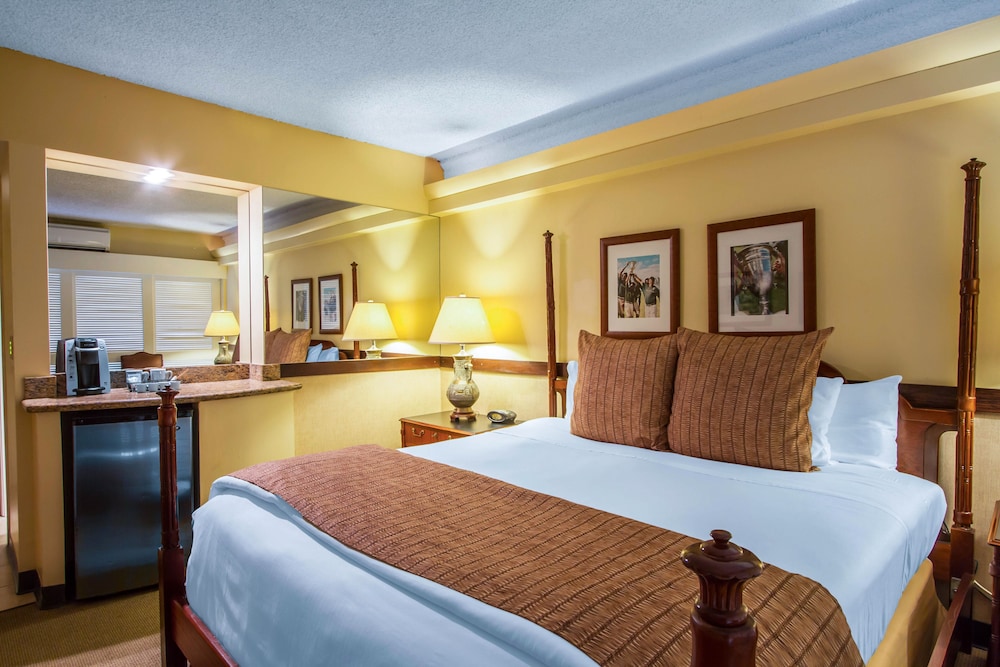 The Equus — Hotel rooms in Honolulu, Hawaii