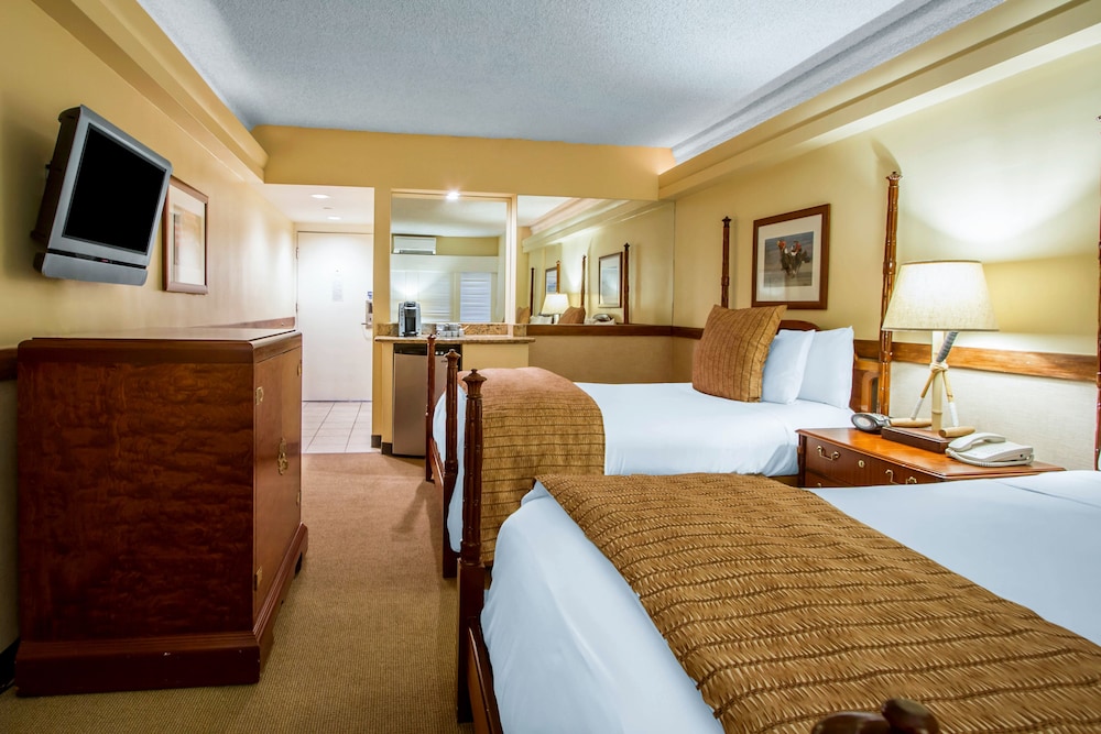 The Equus — Hotel rooms in Honolulu, Hawaii
