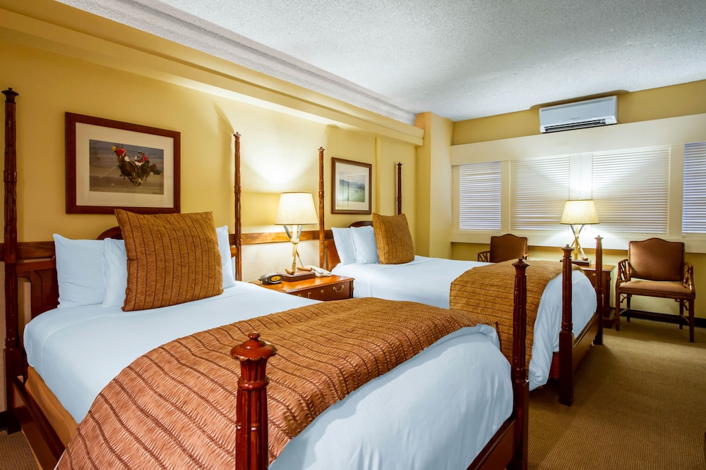 The Equus — Hotel rooms in Honolulu, Hawaii