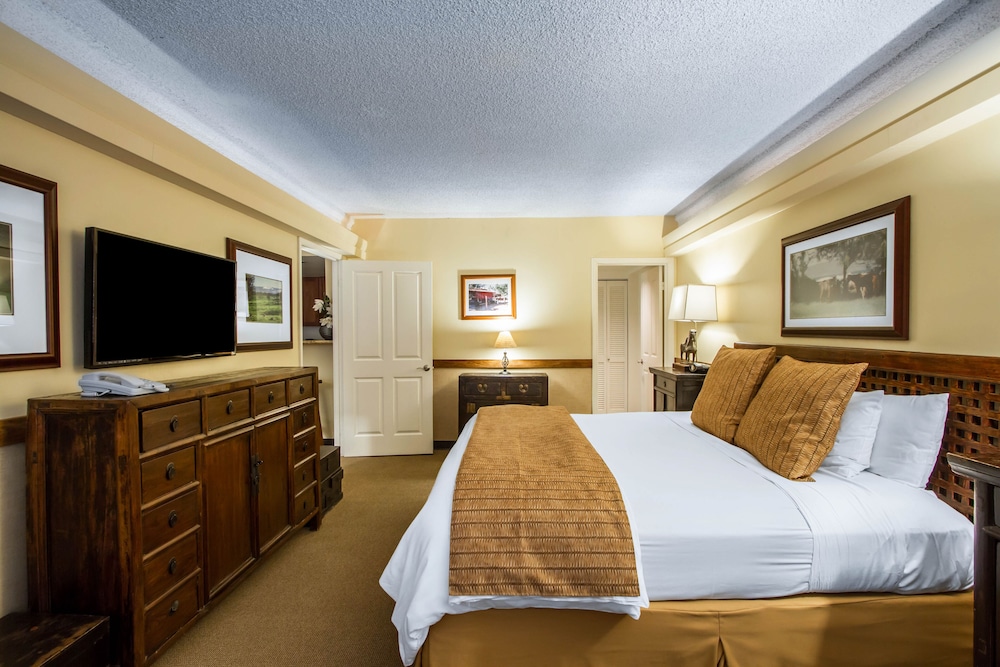 The Equus — Hotel rooms in Honolulu, Hawaii