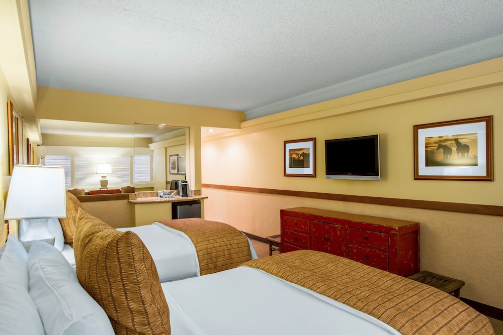 The Equus — Hotel rooms in Honolulu, Hawaii