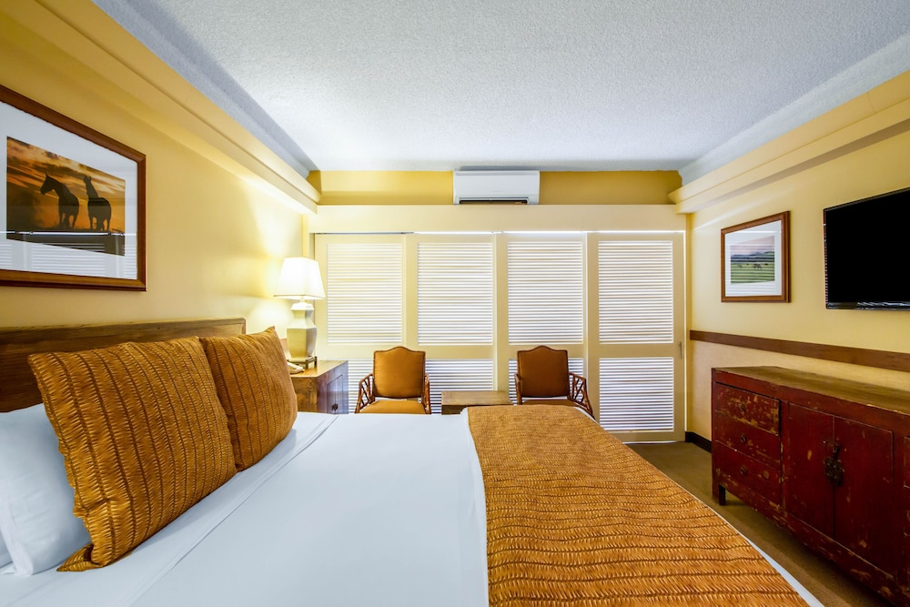 The Equus — Hotel rooms in Honolulu, Hawaii