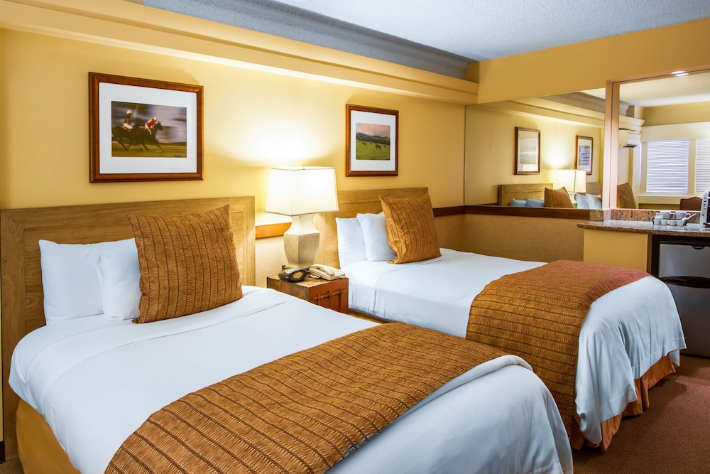 The Equus — Hotel rooms in Honolulu, Hawaii