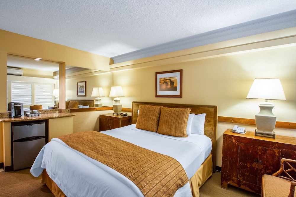 The Equus — Hotel rooms in Honolulu, Hawaii
