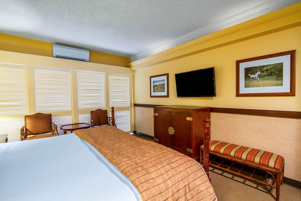 The Equus — Hotel rooms in Honolulu, Hawaii