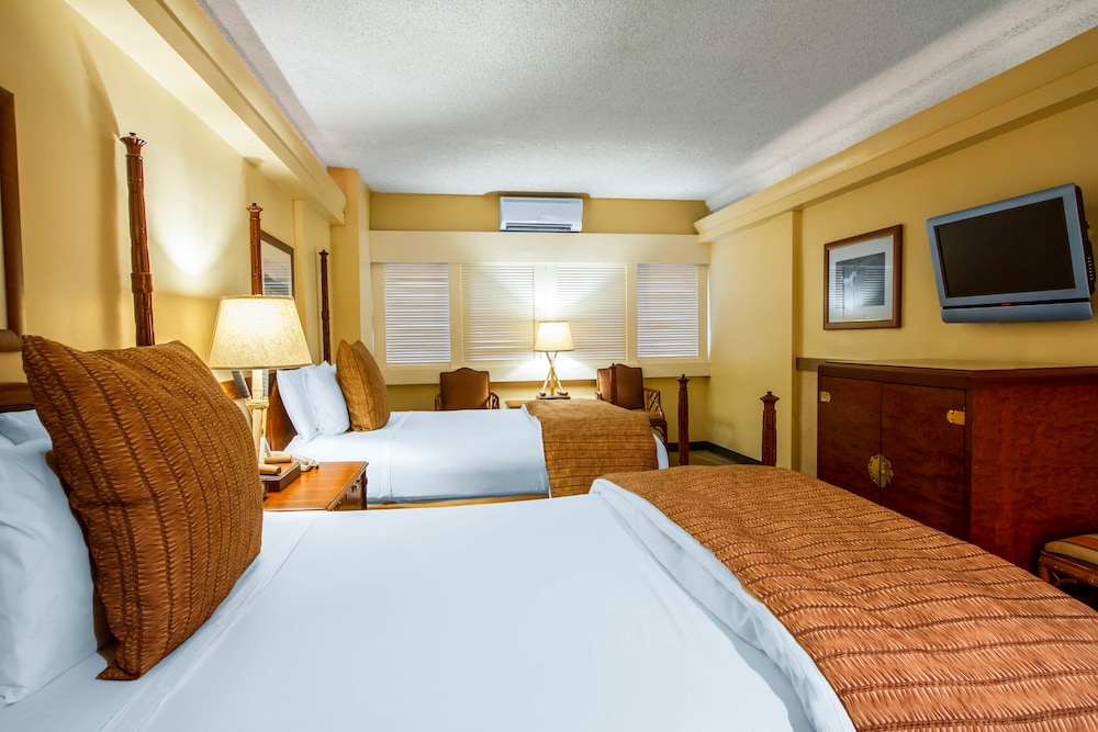 The Equus — Hotel rooms in Honolulu, Hawaii