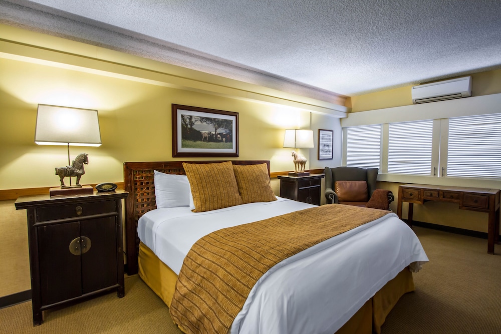 The Equus — Hotel rooms in Honolulu, Hawaii