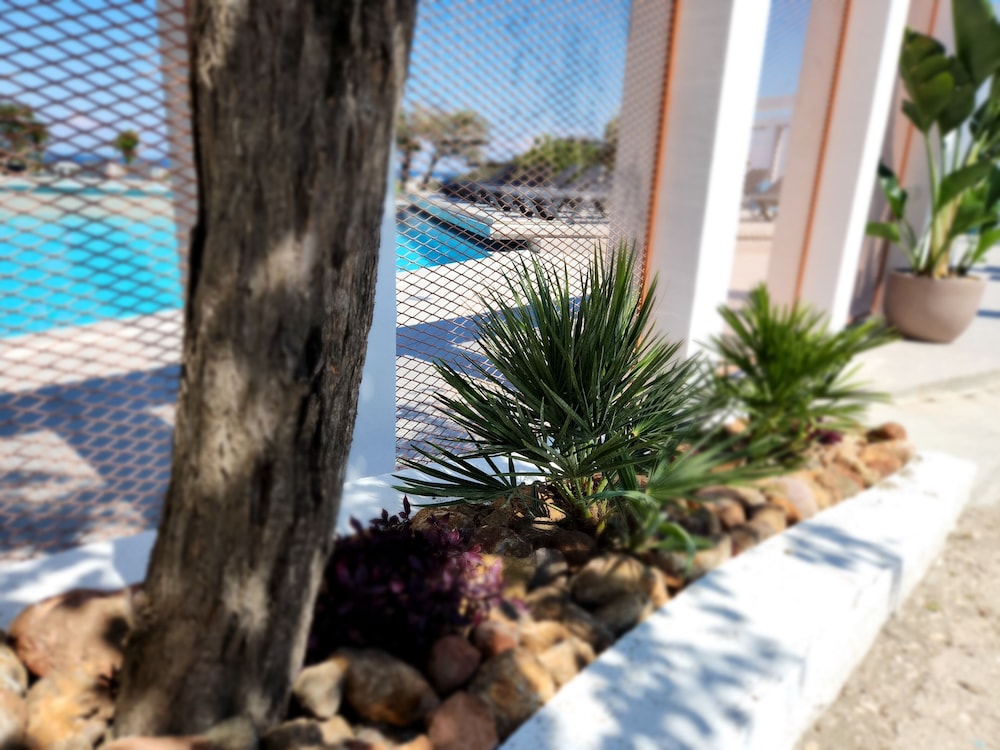 Hillside Studios & Apartments — Swimming pool in Faliraki, South Aegean