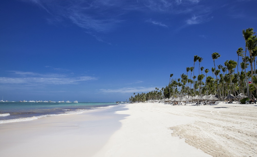 Melia Punta Cana Beach Wellness Inclusive - Adults only - All inclusive — Beach in Bavaro, La Altagracia