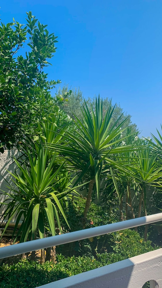 Folia Apartments — Attractions in the area in Chania