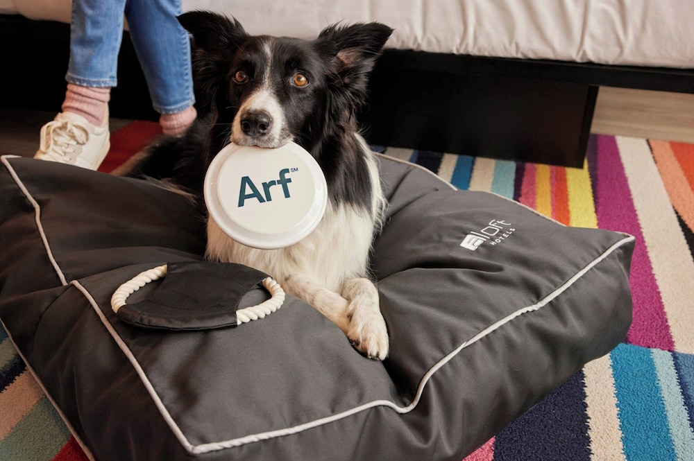 Aloft by Marriott Dublin City — Hotel rooms in Dublin, Dublin City