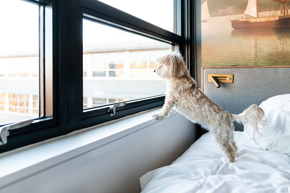 The Revolution Hotel — Hotel rooms in Boston, Massachusetts