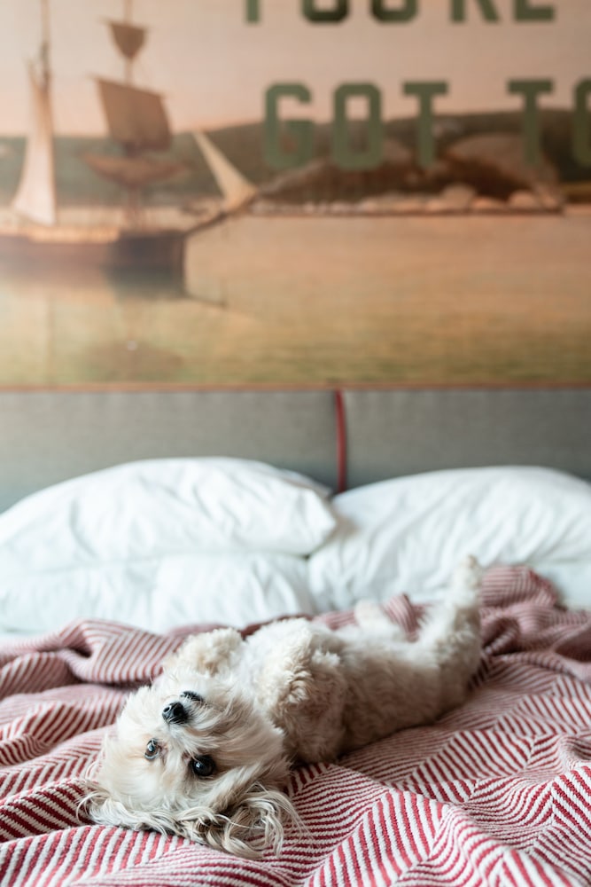 The Revolution Hotel — Hotel rooms in Boston, Massachusetts