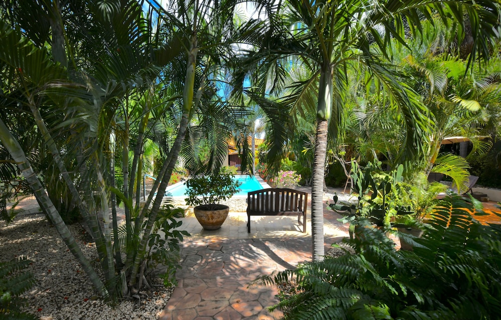 Wonders Boutique Hotel - Adults Only — Swimming pool in Oranjestad, Aruba