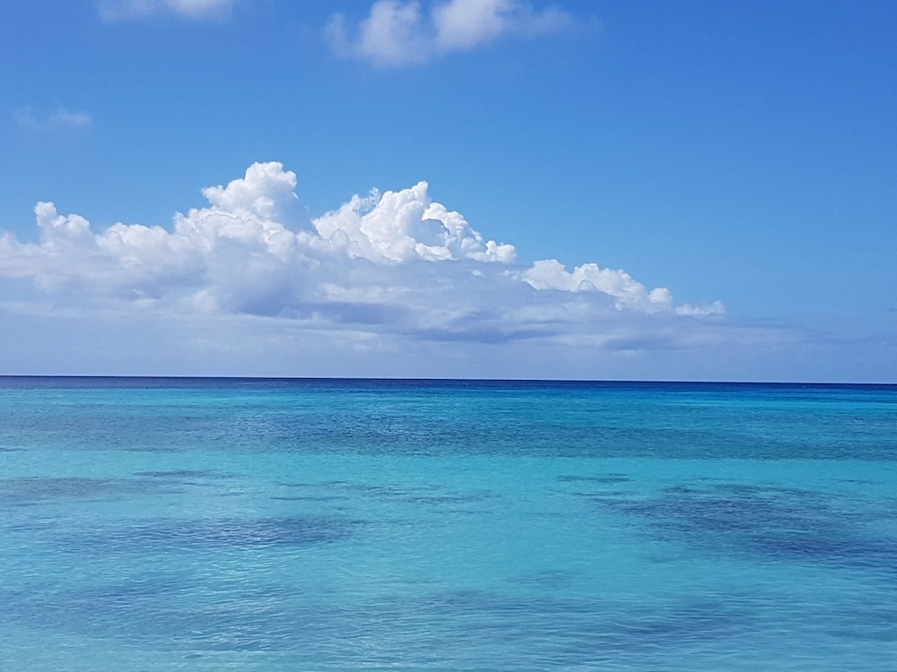Wonders Boutique Hotel - Adults Only — Beach in Oranjestad, Aruba