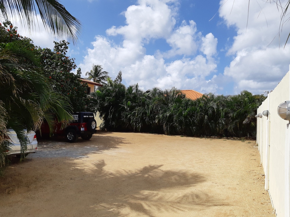 Wonders Boutique Hotel - Adults Only — Beach in Oranjestad, Aruba