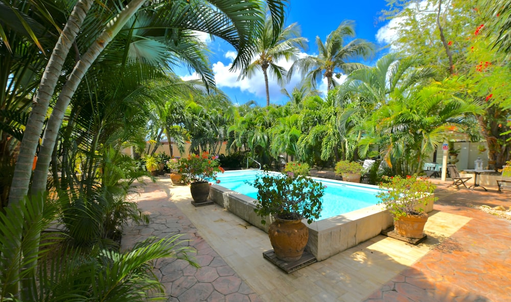 Wonders Boutique Hotel - Adults Only — Swimming pool in Oranjestad, Aruba