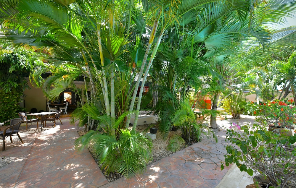 Wonders Boutique Hotel - Adults Only — Hotel building in Oranjestad, Aruba