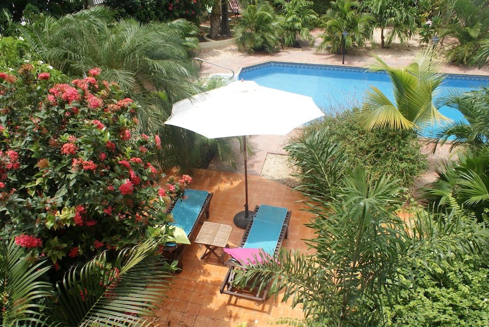Wonders Boutique Hotel - Adults Only — Swimming pool in Oranjestad, Aruba