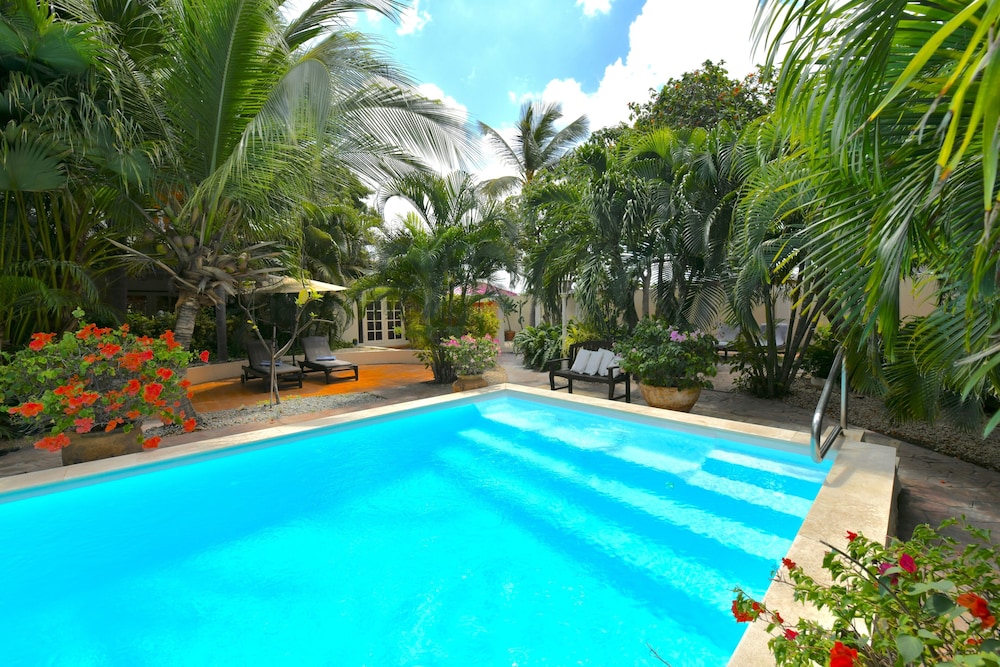 Wonders Boutique Hotel - Adults Only — Swimming pool in Oranjestad, Aruba