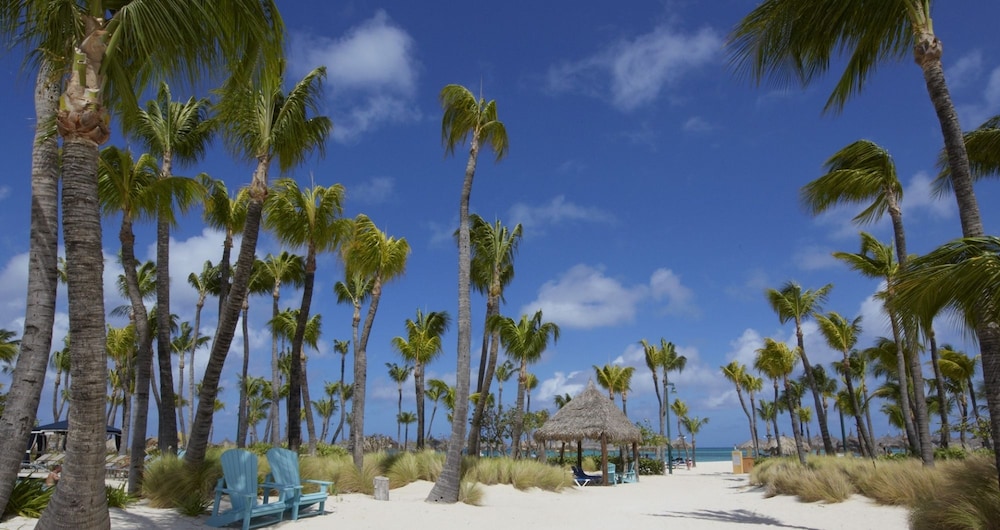 Wonders Boutique Hotel - Adults Only — Beach in Oranjestad, Aruba