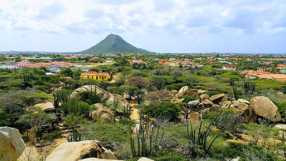 Wonders Boutique Hotel - Adults Only — Attractions in the area in Oranjestad, Aruba
