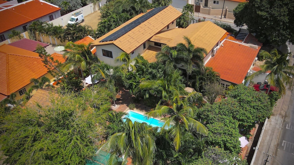 Wonders Boutique Hotel - Adults Only — Swimming pool in Oranjestad, Aruba