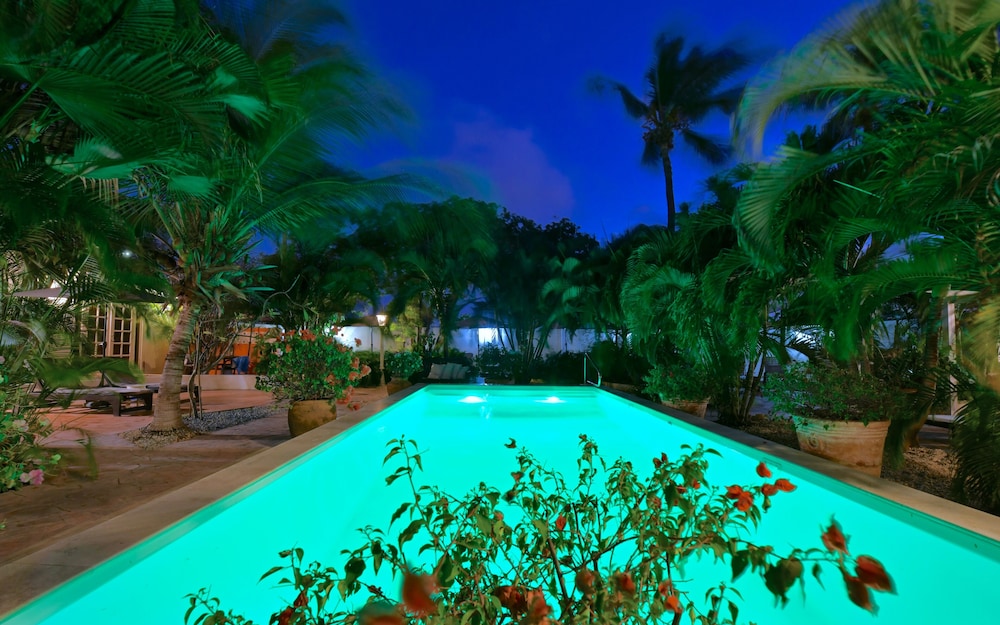 Wonders Boutique Hotel - Adults Only — Swimming pool in Oranjestad, Aruba