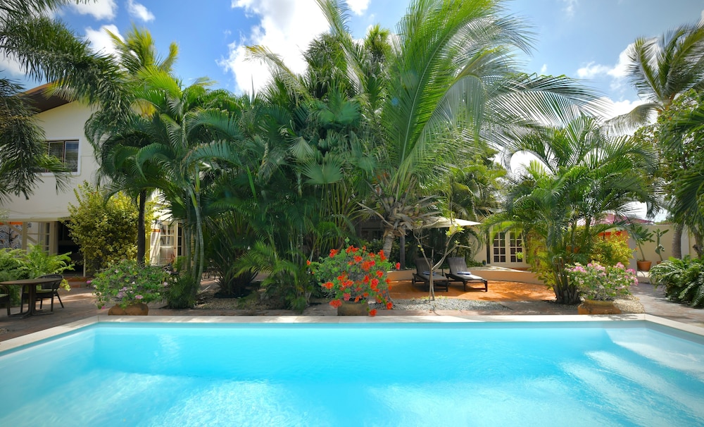 Wonders Boutique Hotel - Adults Only — Swimming pool in Oranjestad, Aruba